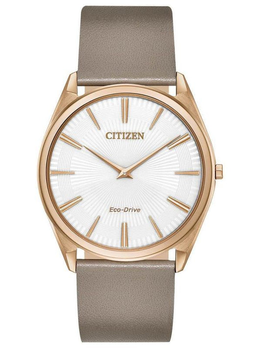 Reloj Dama Citizen Eco-Drive AR3076-08A